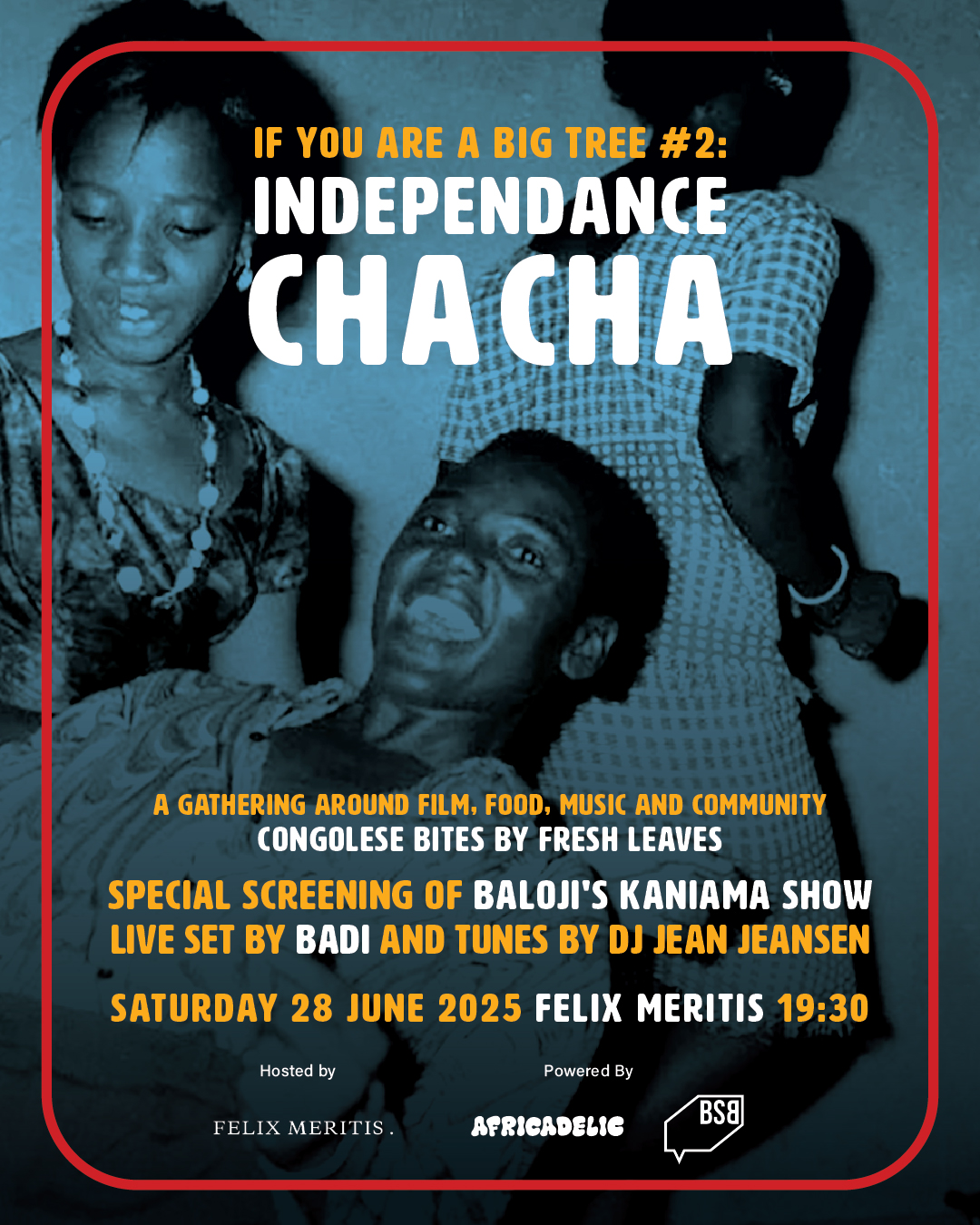 Independance Cha Cha 2 - africadelic 2025 - portrait